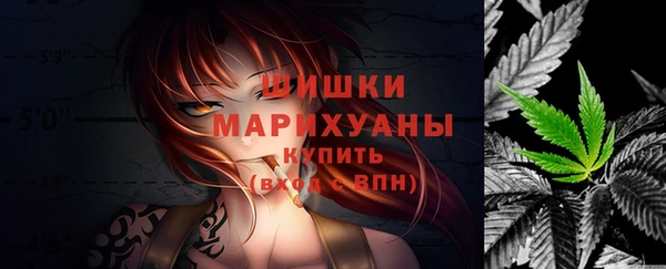 амф Арсеньев