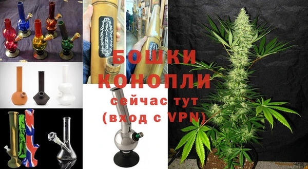 амф Арсеньев